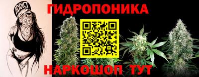стафф Нальчик